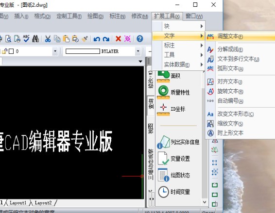 CADv文字单行文字修改编辑文本有哪些桔梗?妆容教程技巧图片