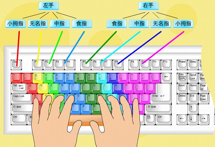 电脑初学者入门打字法图片